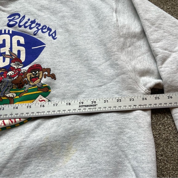 VINTAGE 1991 WARNER BROS BUTBANK BLITZERS FOOTBALL CREWNECK SWEATSHIRT GRAY RARE - Picture 16 of 16